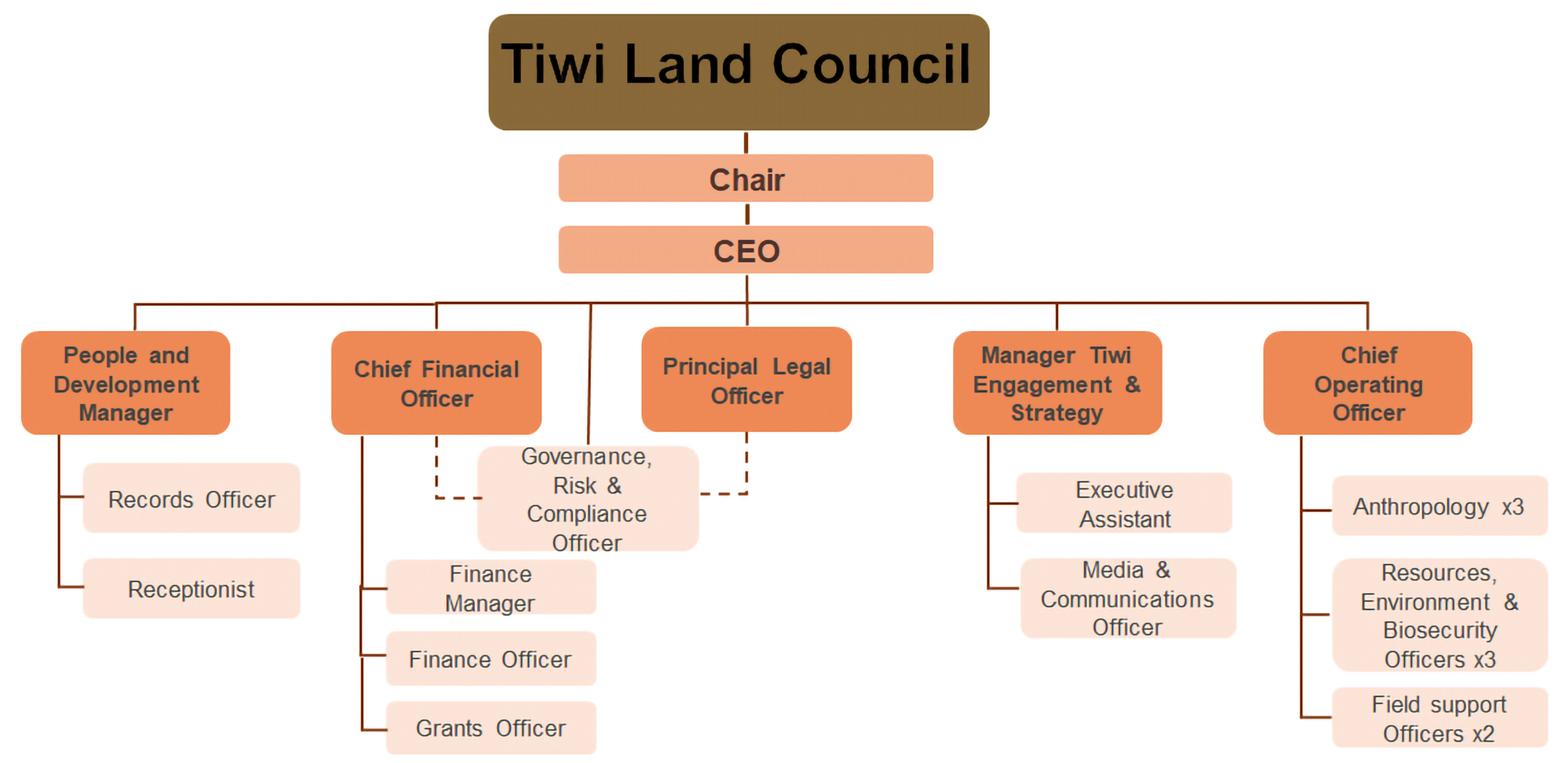 TLC Organisational Structure